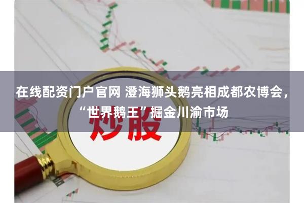 在线配资门户官网 澄海狮头鹅亮相成都农博会，“世界鹅王”掘金川渝市场